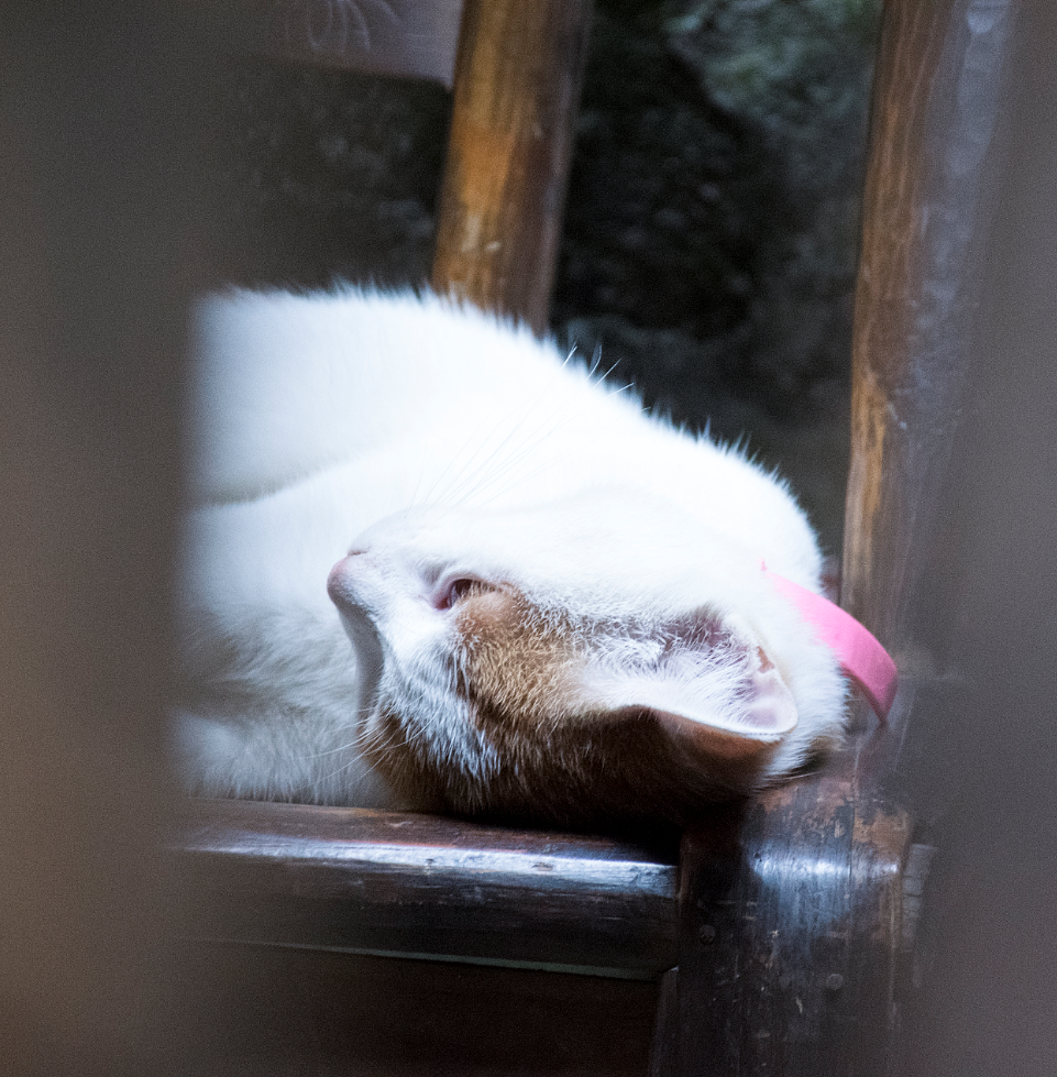 发现武汉之天下第一街——汉正街