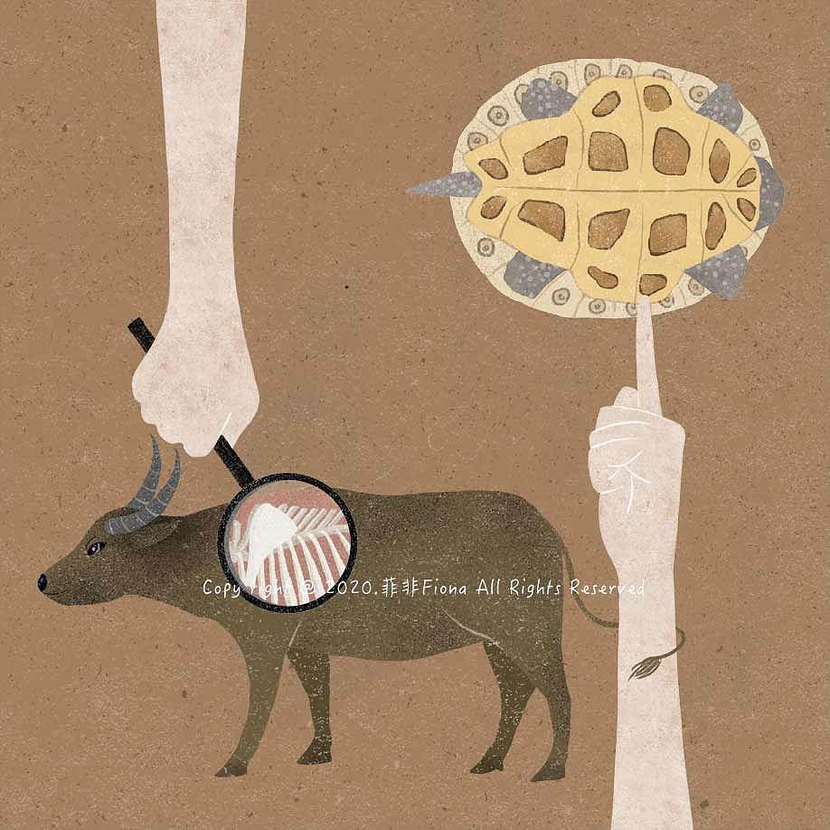 一组关于甲骨文的插画_菲非fiona-站酷zcool