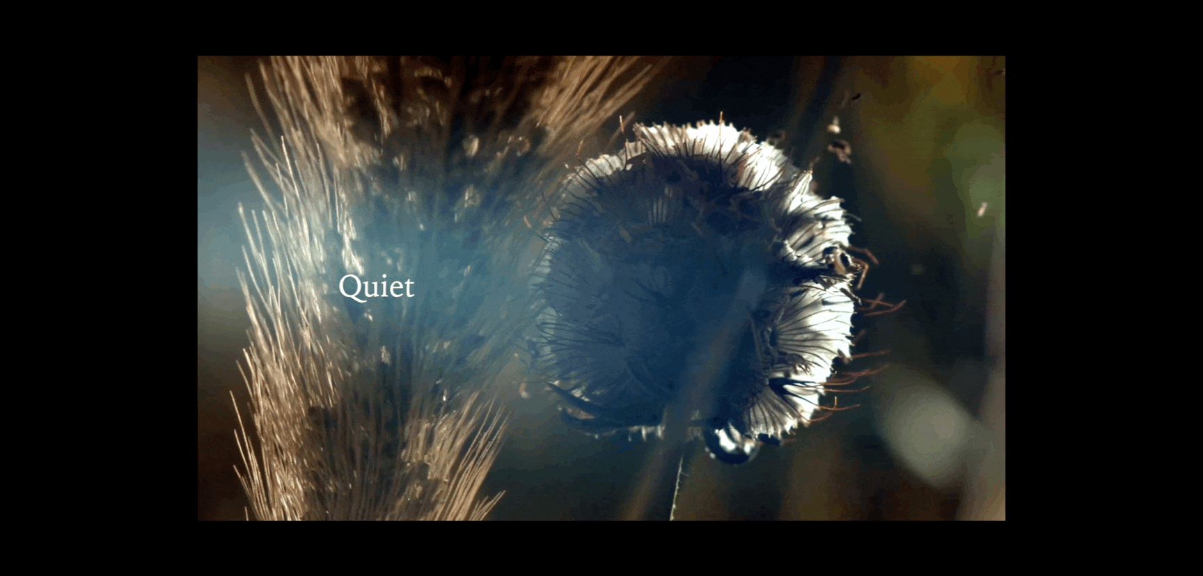 羽心堂-月光海晚安喷雾/宣传片（图ZMjYxMDk4NDg0） - 宣传片 - 站酷设计师LeTian乐天原创素材 - 站酷ZCOOL