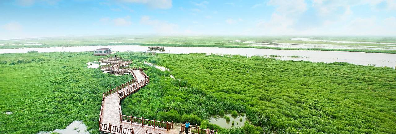 高钙活性米包装（图ZMjk1NjU0Mzc2） - 包装 - 站酷设计师Z813117055原创素材 - 站酷ZCOOL
