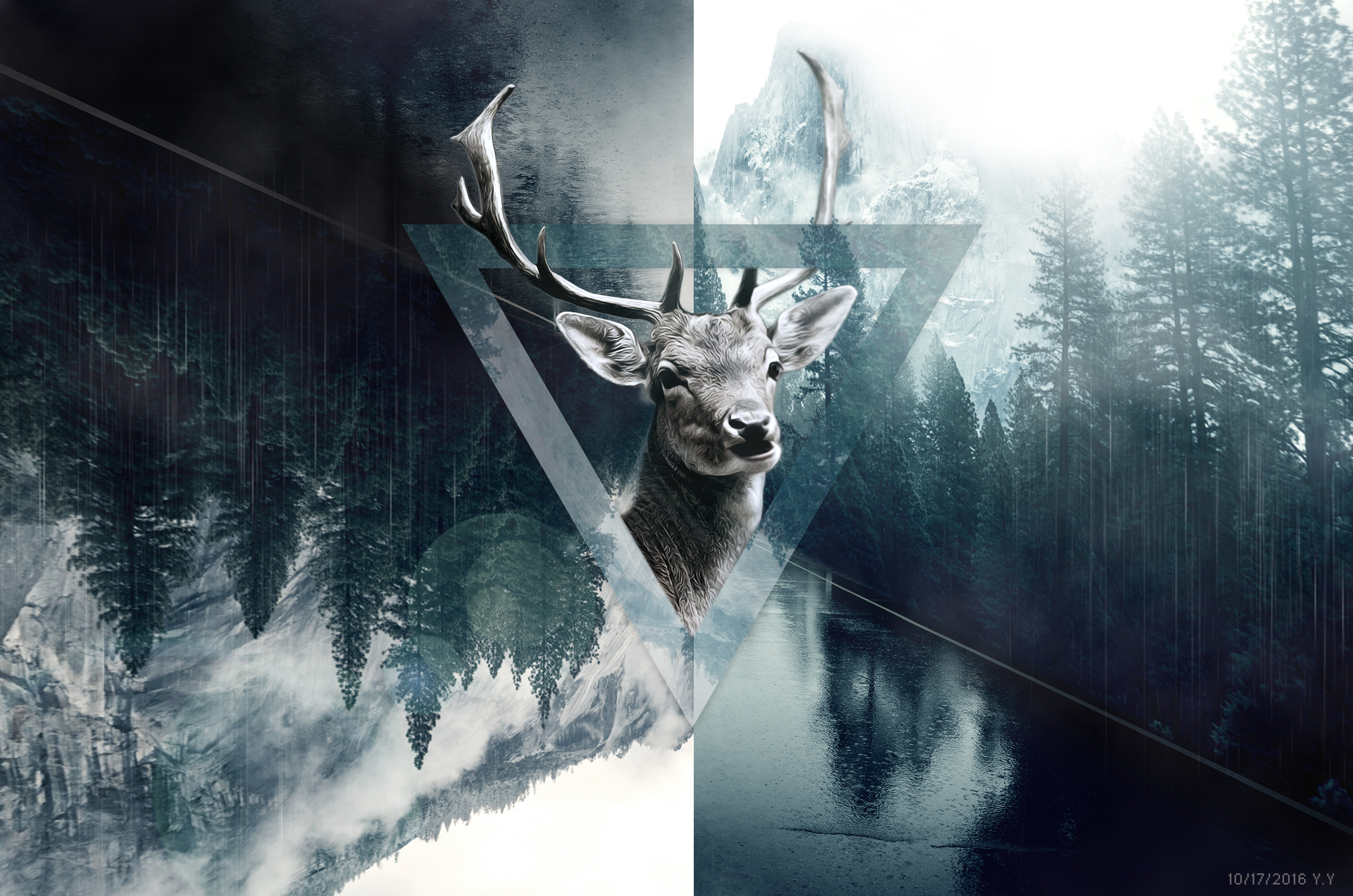 ps创意合成练习 鹿 森林 雨