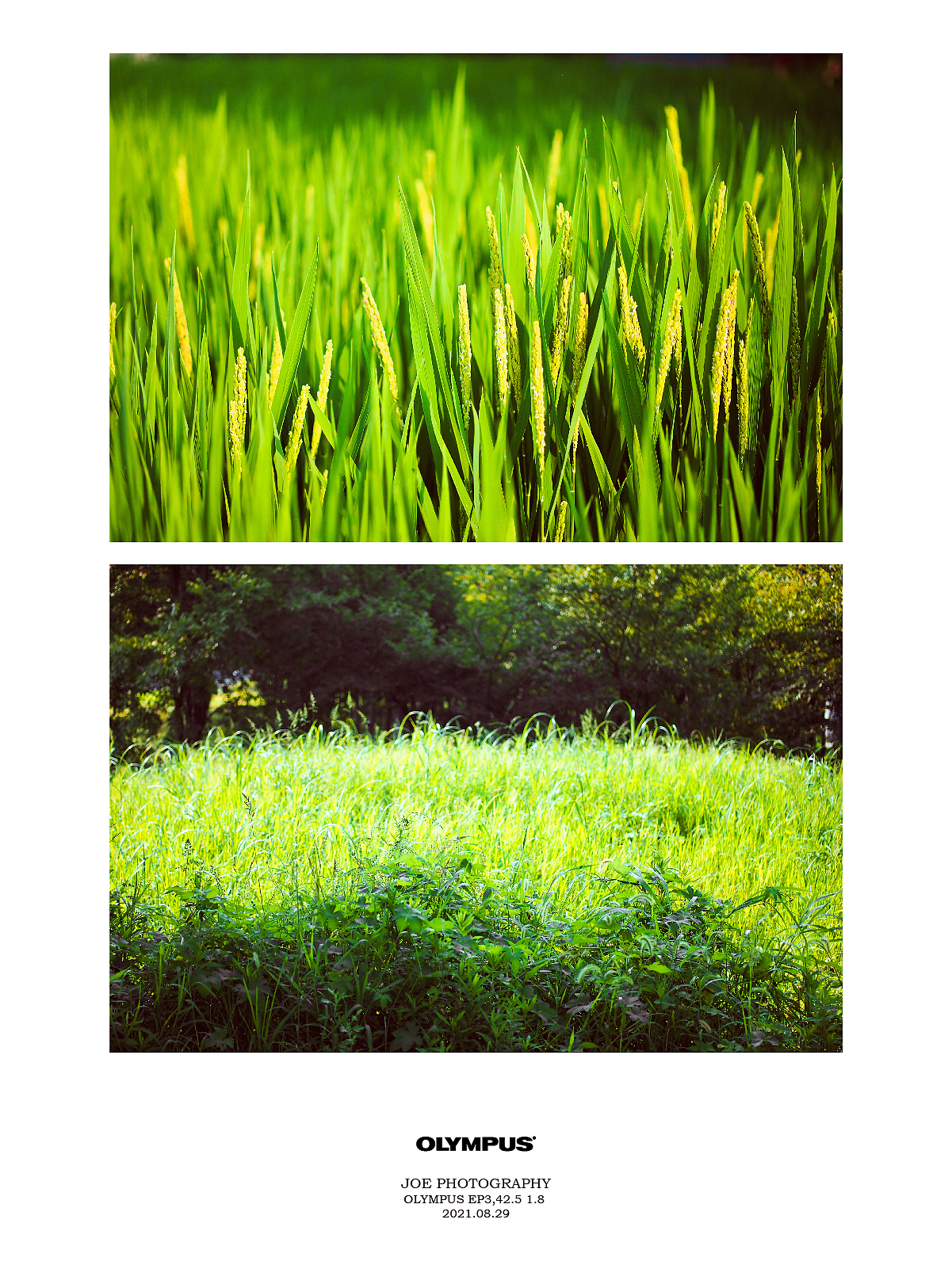 有一種藍(lán)叫奧巴（圖ZMjk1MTAwNTEy） - 風(fēng)光攝影 - 站酷設(shè)計(jì)師虛幻飄渺過路人原創(chuàng)素材 - 站酷ZCOOL