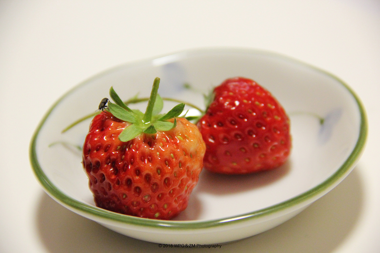 《 小虫与草莓 》