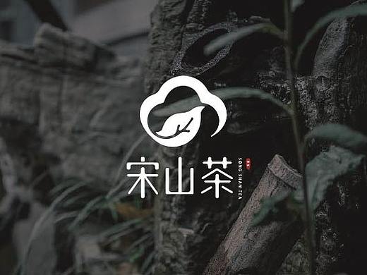 茶品牌视觉提案