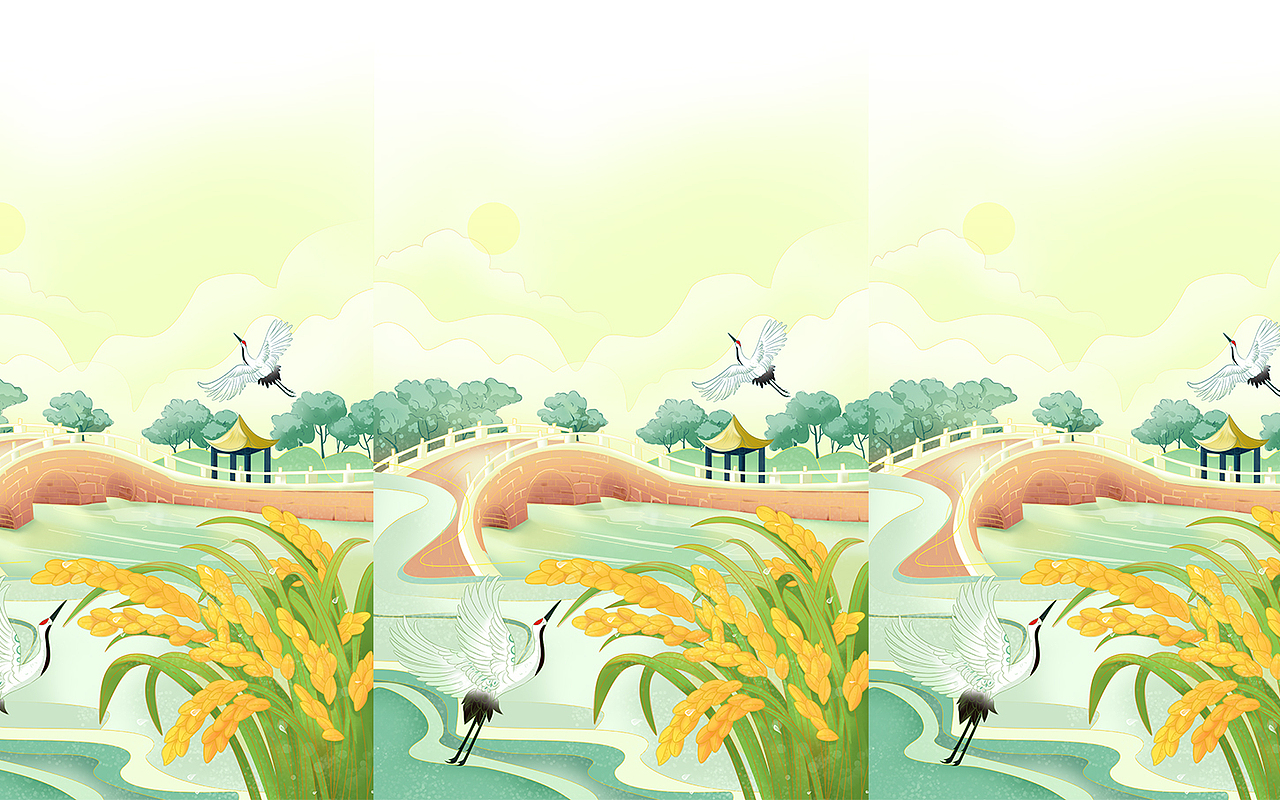 大米包装（图ZMjQ0MDk5Mjc2） - 商业插画 - 站酷设计师ruo男原创素材 - 站酷ZCOOL