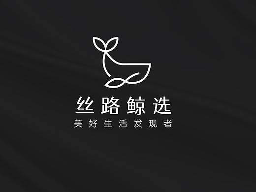 丝路鲸选