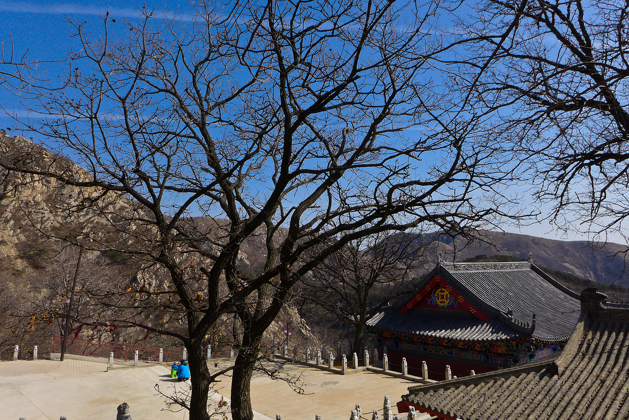 心无所向,梦无所往