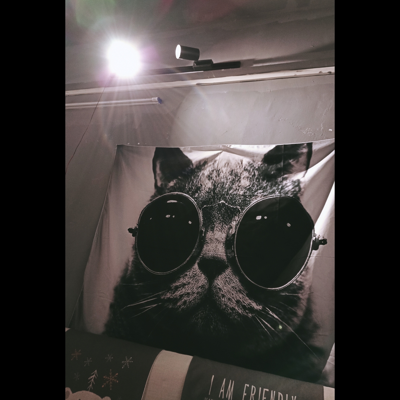 ↑(躺床视角 射灯&背景布)