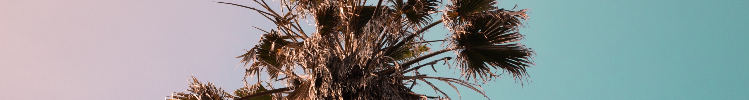 ccishere的个人主页（封面预览） - 主页封面设置 - 站酷设计师ccishere原创素材 - 站酷ZCOOL