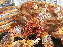 【美食摄影】|【海鲜】东江×子目