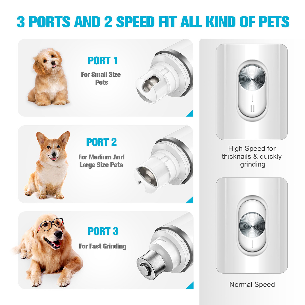 亚马逊 精修 狗狗磨甲器（图ZMTk5NTU4MjUy） - 其他平面 - 站酷设计师保护一下阿西原创素材 - 站酷ZCOOL