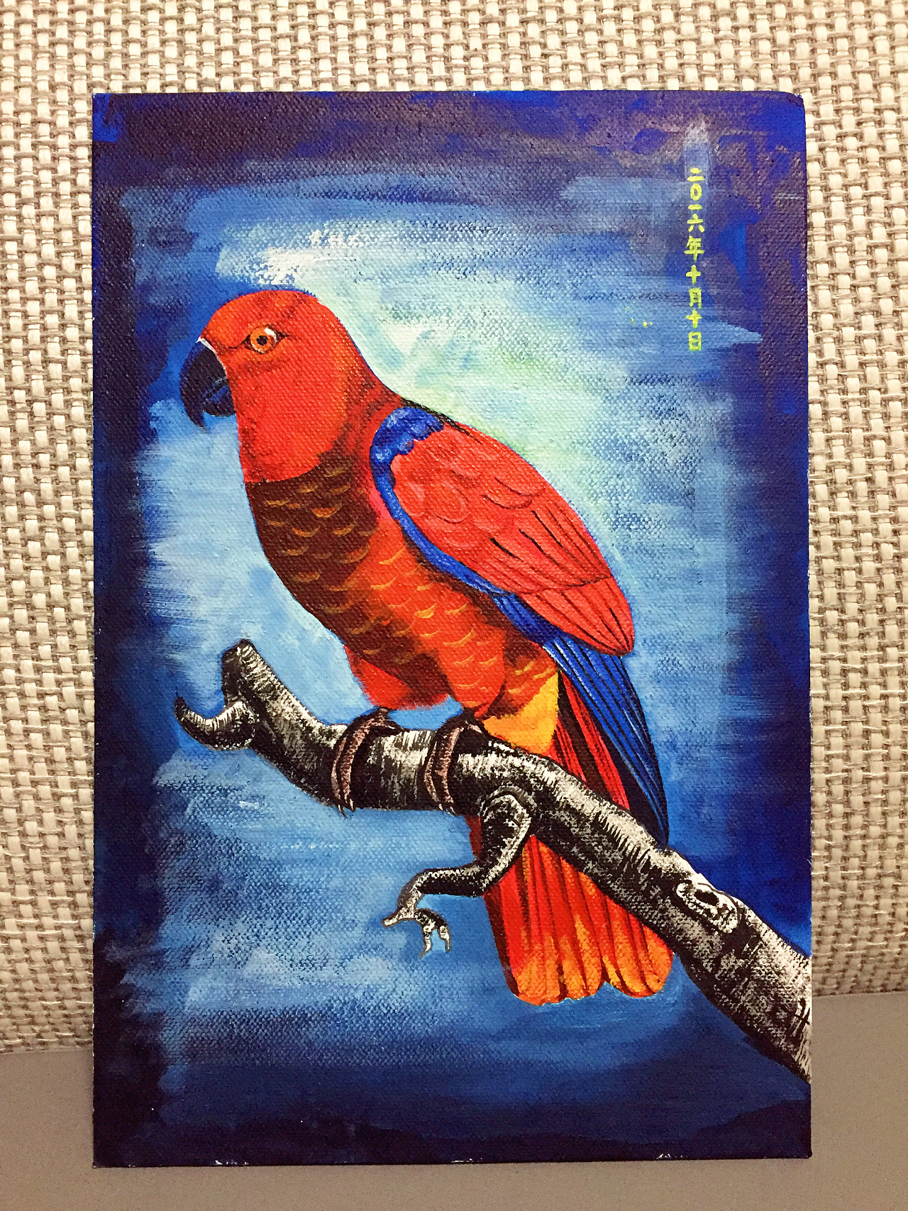 丙烯鹦鹉|插画|创作习作|circleliu - 原创作品 - 站酷 (zcool)