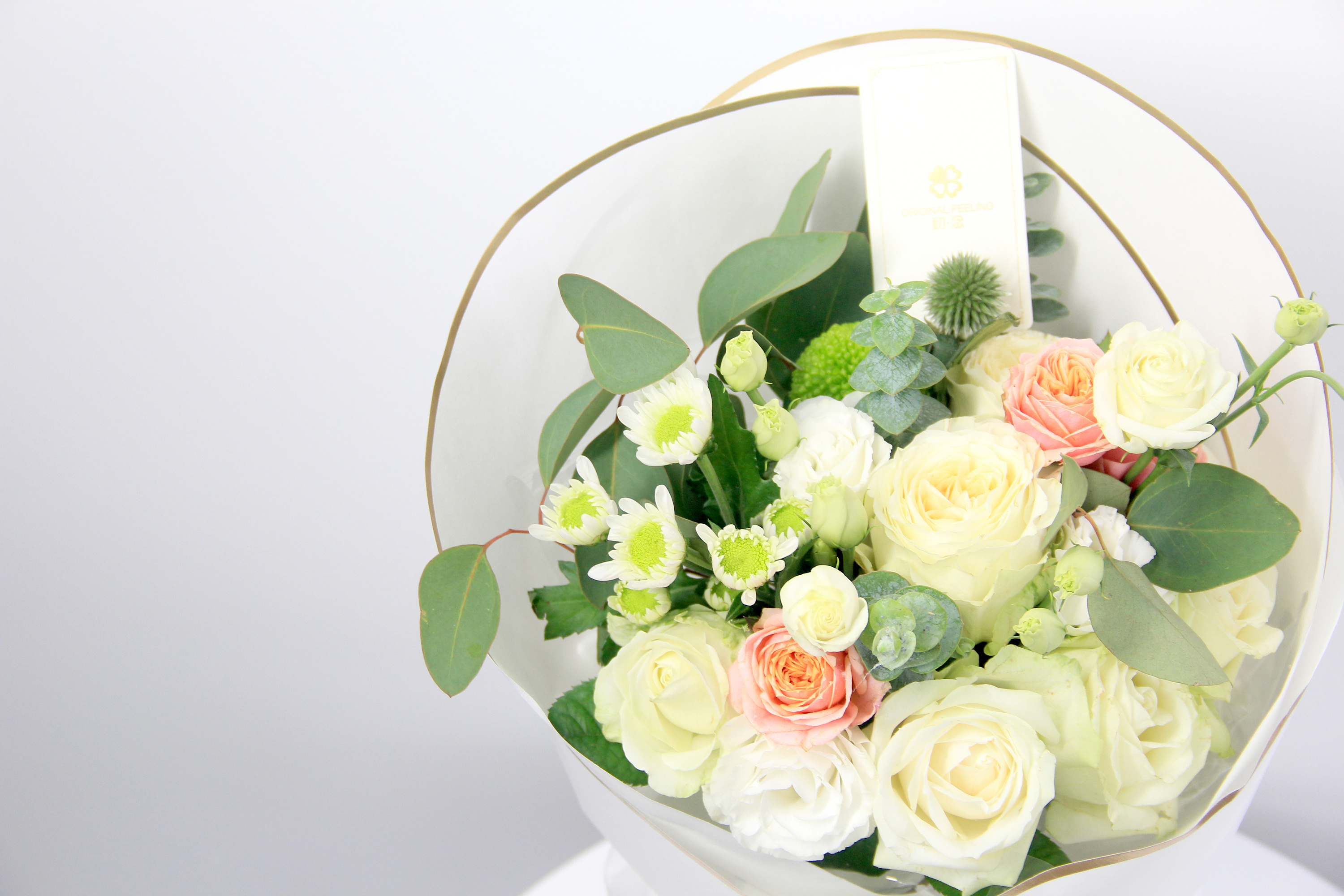 鲜花-《初·念》产品摄影|摄影|静物|大道理先生 - 原创作品 - 站酷