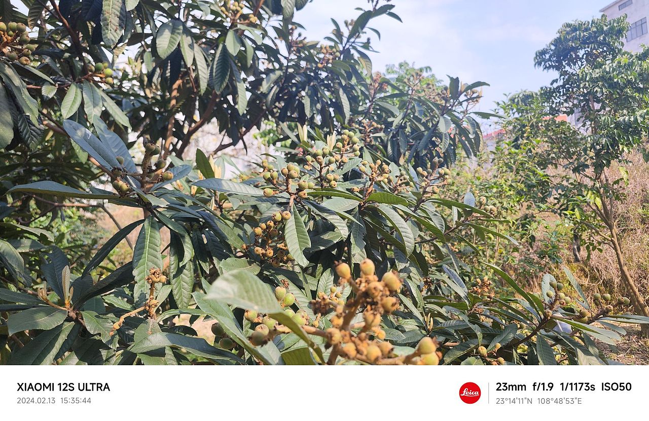 随拍（图ZMzYxNzQxODg0） - 人文/纪实摄影 - 站酷设计师木糖醇饕餮原创素材 - 站酷ZCOOL