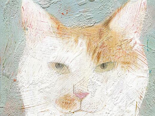 泰哥和他的朋友们