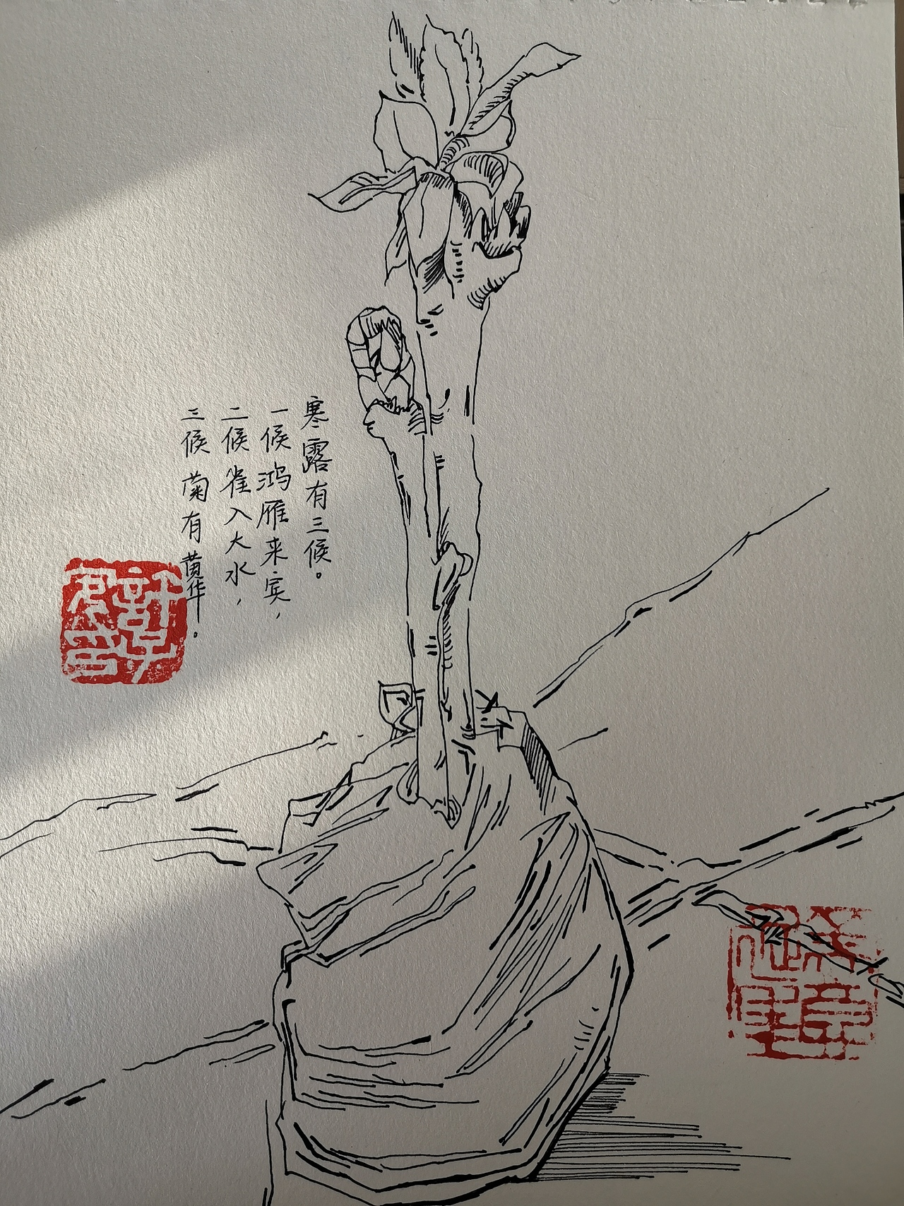 《光与影》2019冬速写作品（图ZMjc5MzI2OTE2） - 绘画 - 站酷设计师我喜欢在路上走原创素材 - 站酷ZCOOL