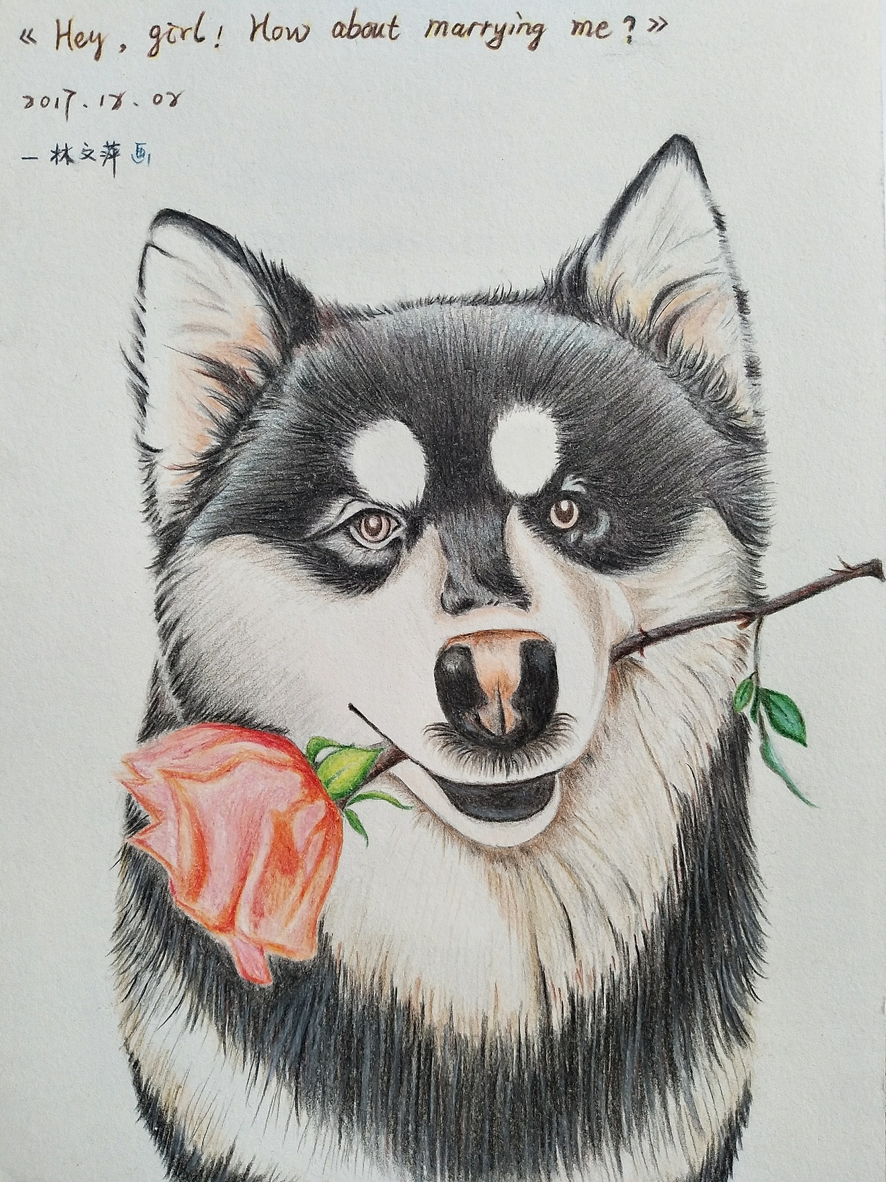 2017-12-02《hey,girl!》
开始接触彩铅。这幅画现在挂在家里,可是颜色褪了很多,有点伤心