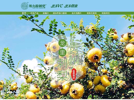 刺梨淘宝pc首页