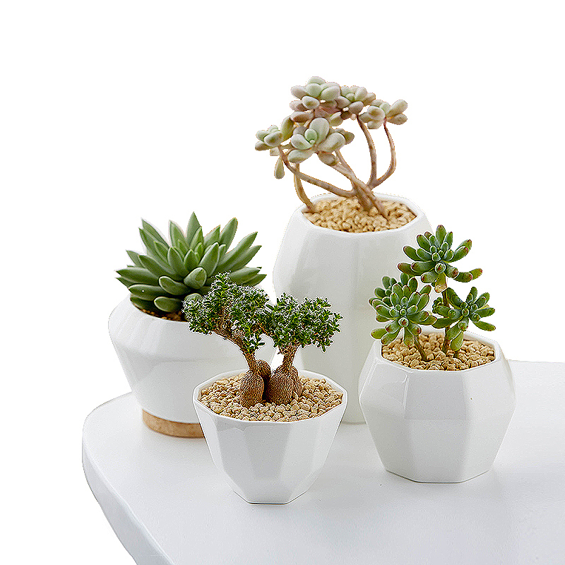 主图（图ZMjEyNTM3OTIw） - 电商 - 站酷设计师Miss_甜甜原创素材 - 站酷ZCOOL