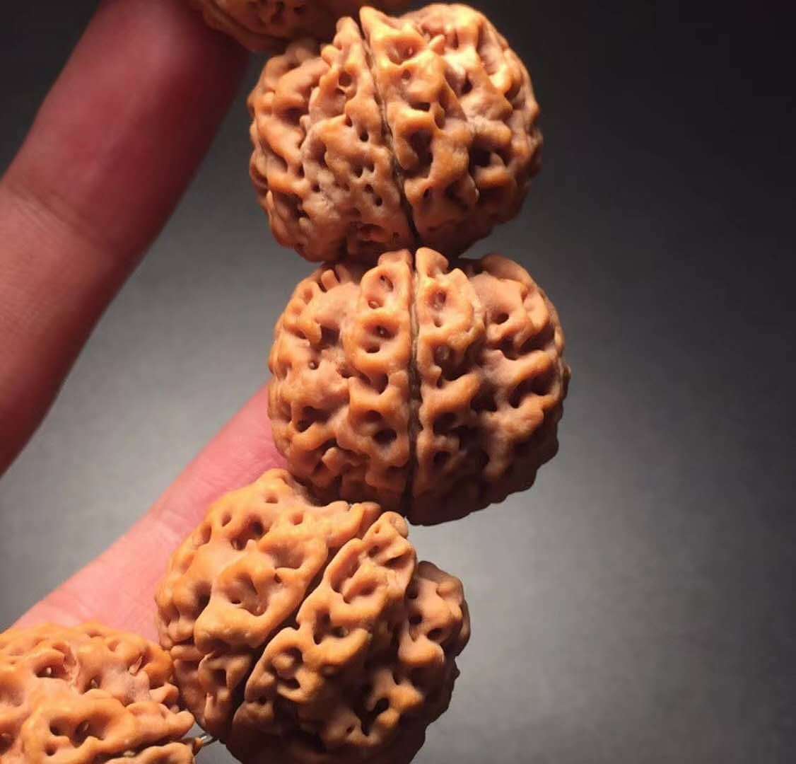 极品五瓣25尼泊尔矮桩爆肉梅花双龙大金刚手串