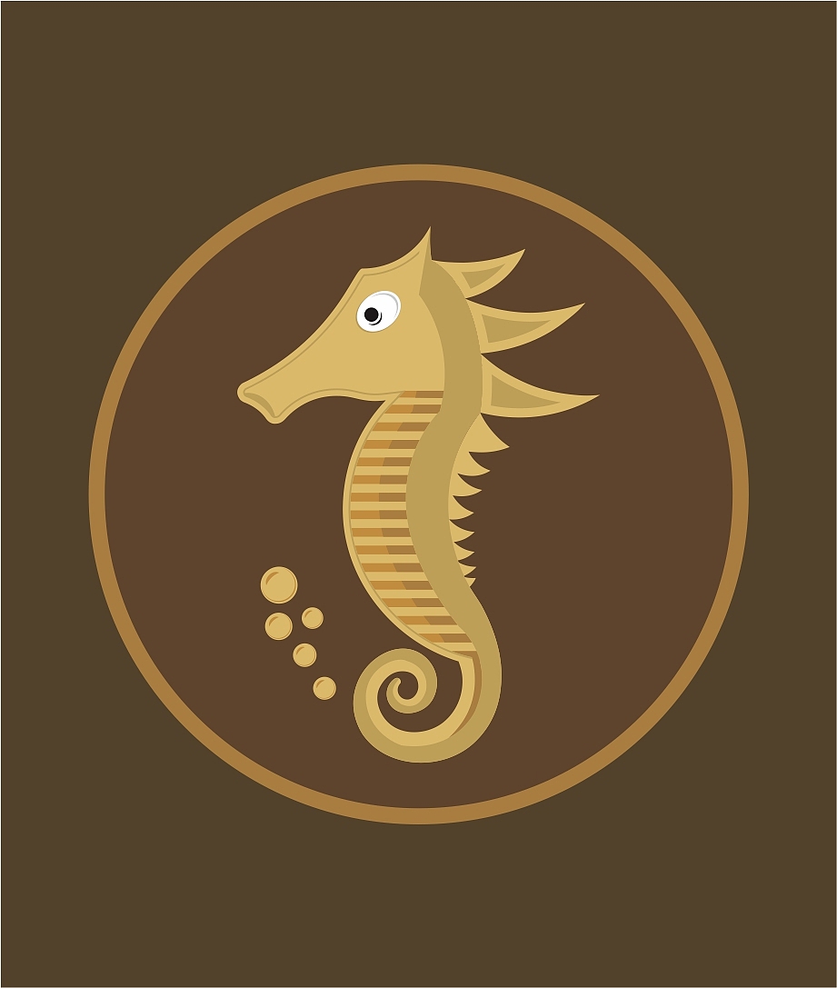 海马卡通设计海马图标设计