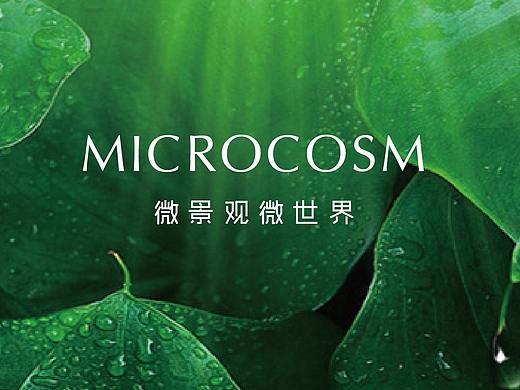 微景观微世界