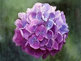 幾幅小水彩練習(xí)