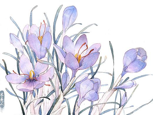 一组面膜插画