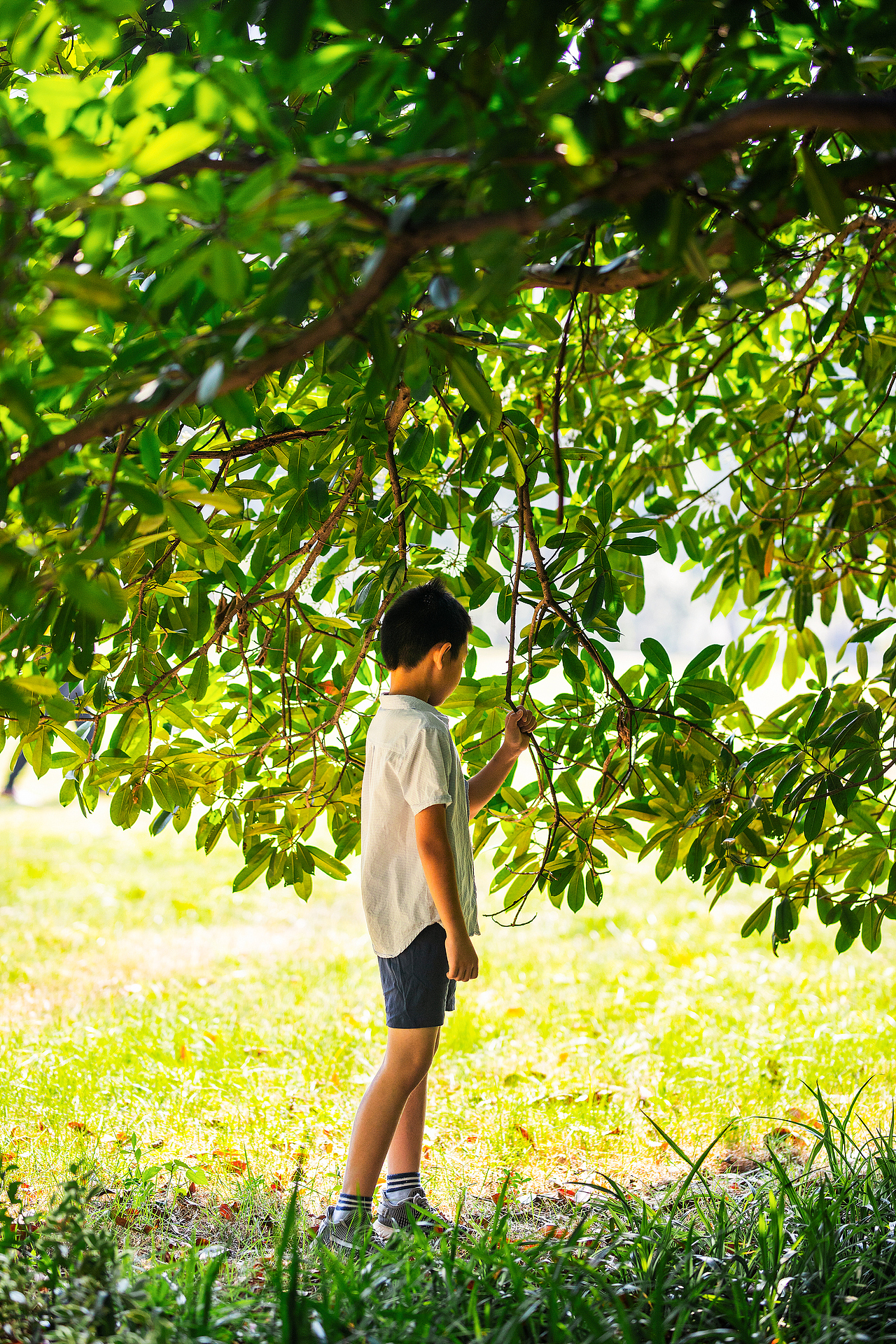 童年背影,小小倔强