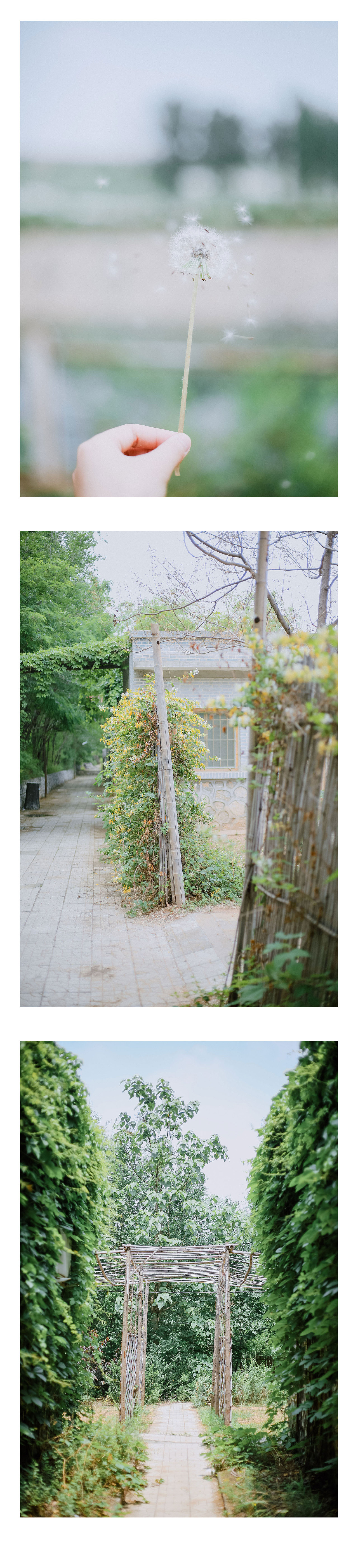 yokaの2018年摄影日常总结（图ZMTUwMjc3NDg0） - 风光摄影 - 站酷设计师YOKA加子原创素材 - 站酷ZCOOL