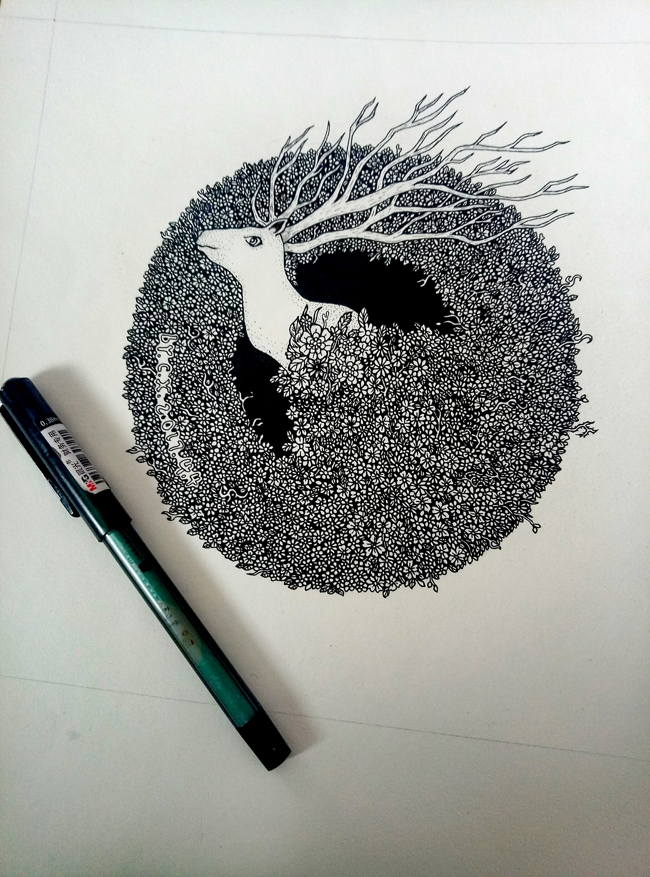 黑白插画 小鹿
