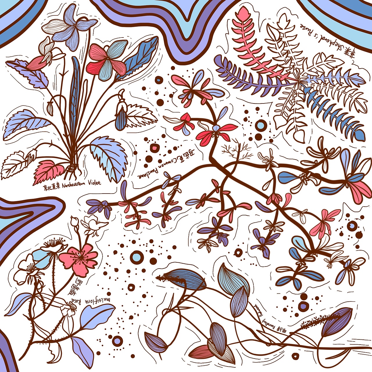 线条练习 植物（图ZMTg1NzI4NjMy） - 创作习作 - 站酷设计师睿妈晴朗原创素材 - 站酷ZCOOL