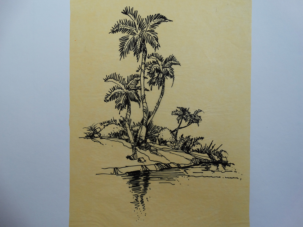 景观和建筑小手绘