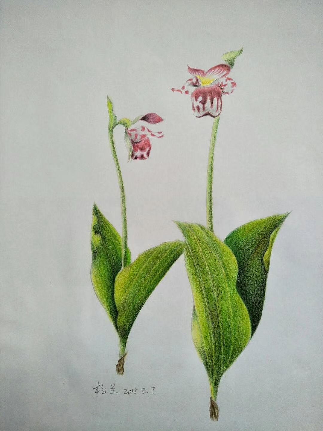 临摹（图ZMzU0MjAyMTY4） - 创作习作 - 站酷设计师Z025026128原创素材 - 站酷ZCOOL