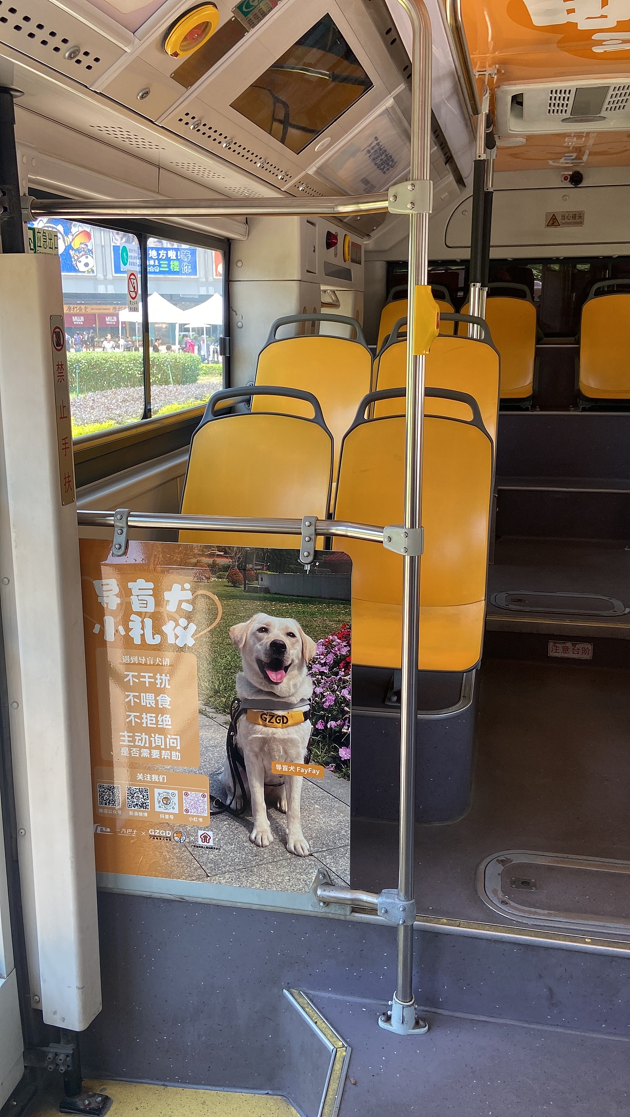 国际导盲犬日 导盲犬主题公交车设计设计