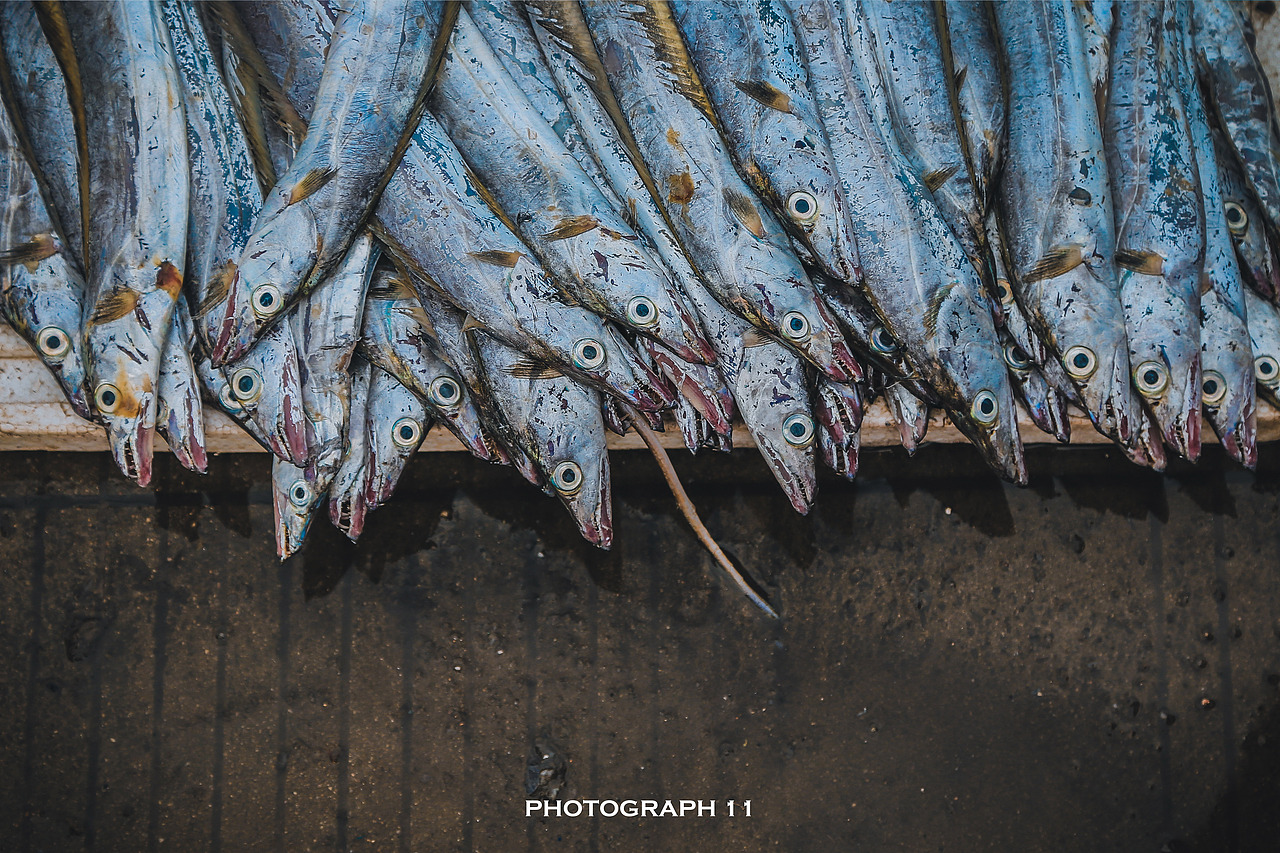 渔港（图ZMzIzNjk2NDAw） - 风光摄影 - 站酷设计师11ELEVEN原创素材 - 站酷ZCOOL