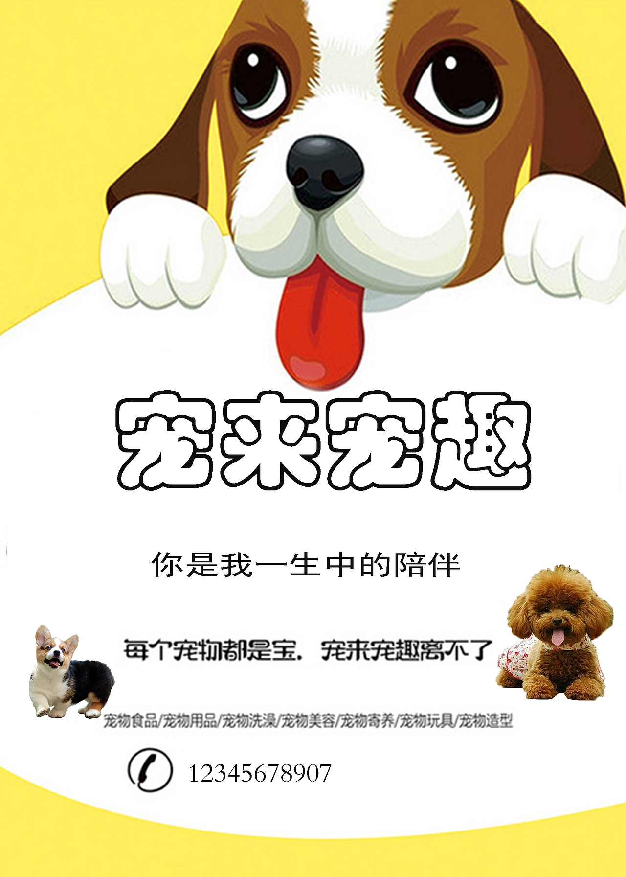 宠物海报（图ZOTIwODk3Njg=） - 海报 - 站酷设计师皮皮哥丶原创素材 - 站酷ZCOOL