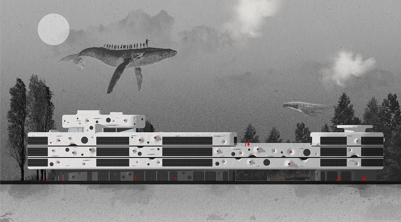 "鲲之梦”幼儿园, 现实版的“诺亚方舟”即将起航?