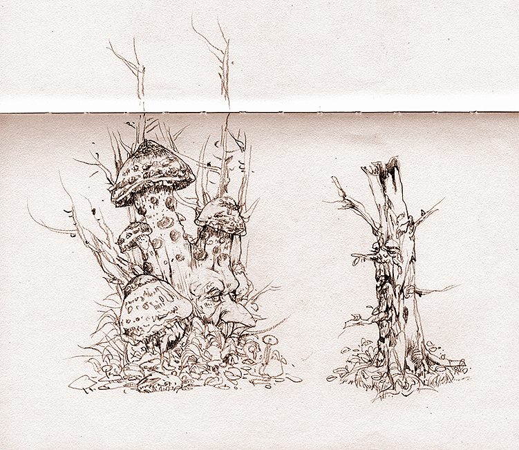 森林蘑菇（图ZMTY0OTMxOTI=） - 创作习作 - 站酷设计师樊安安原创素材 - 站酷ZCOOL