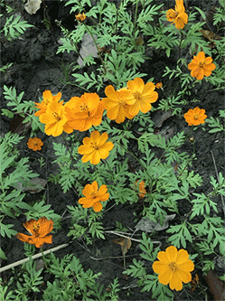 采風(fēng)（圖ZOTgxNzQyNDA=） - 風(fēng)光攝影 - 站酷設(shè)計師美麗UI原創(chuàng)素材 - 站酷ZCOOL