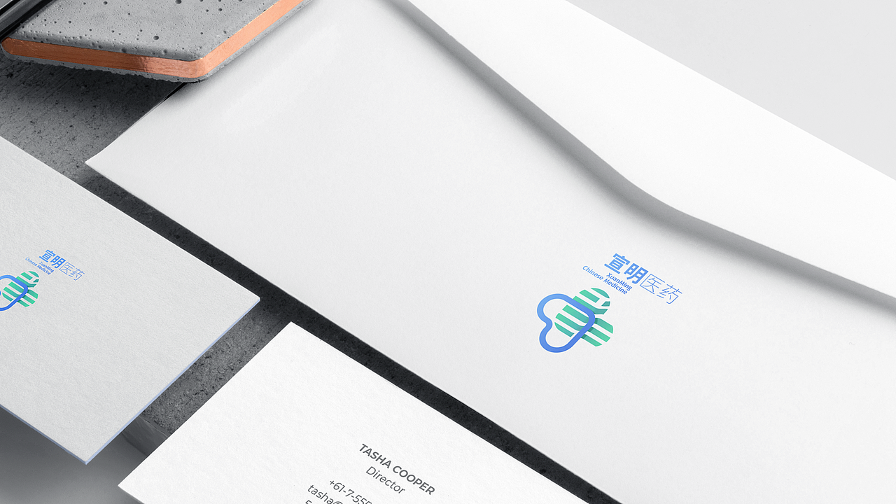宣明中医药标志设计方案（图ZMTcxMzQxMzg0） - Logo - 站酷设计师字信君原创素材 - 站酷ZCOOL