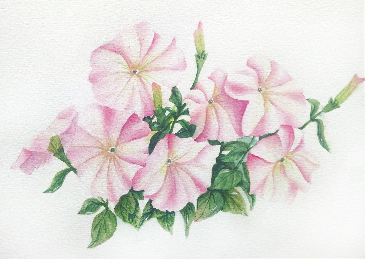 水彩画-临摹冰儿的画作（图ZMTI5MDM0ODk2） - 创作习作 - 站酷设计师lilaxi原创素材 - 站酷ZCOOL