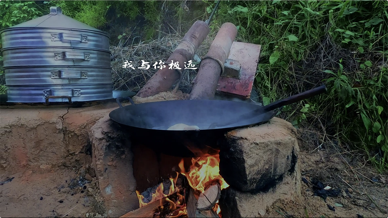 日常vlog (高山低谷)