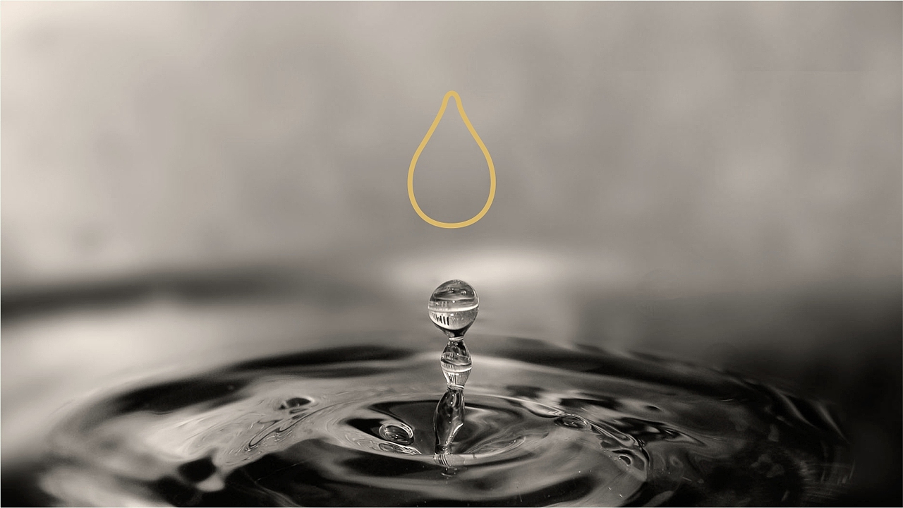 巴山雀舌茶叶包装与logo设计