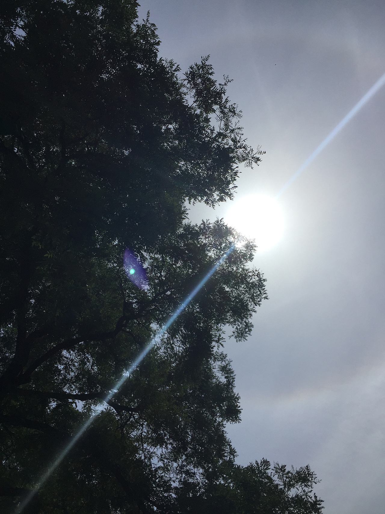 xu标题（图ZODYzNTYwMjg=） - 品牌 - 站酷设计师徐培培新原创素材 - 站酷ZCOOL