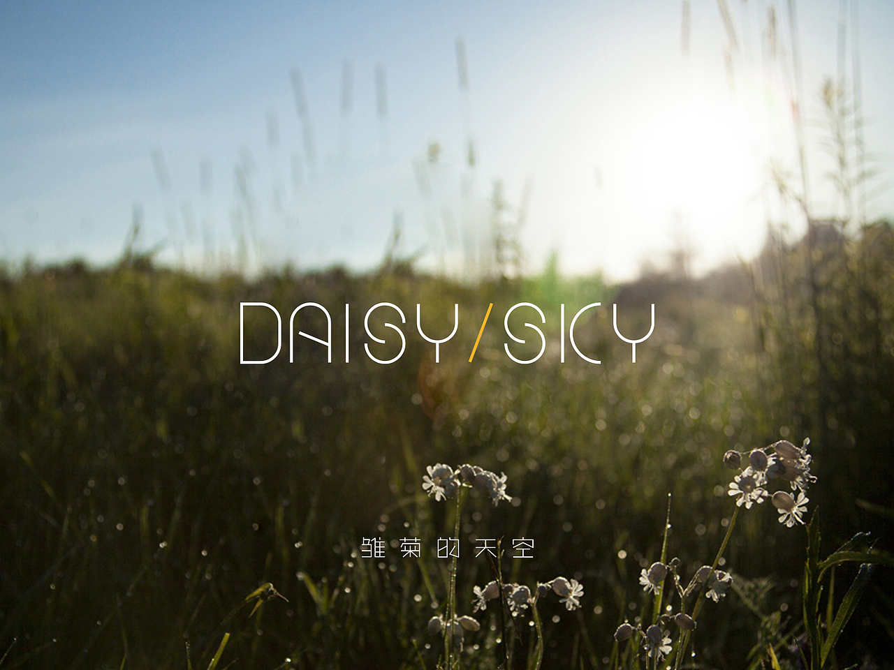 Brand Diary 品牌生活志(图ZMTk0NzA5NDQ=) - Logo - 站酷设计师阁楼妖怪原创素材 - 站酷ZCOOL