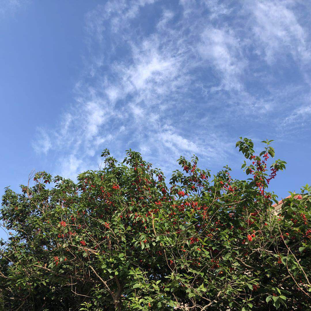 山水之美-从大自然中发现快乐