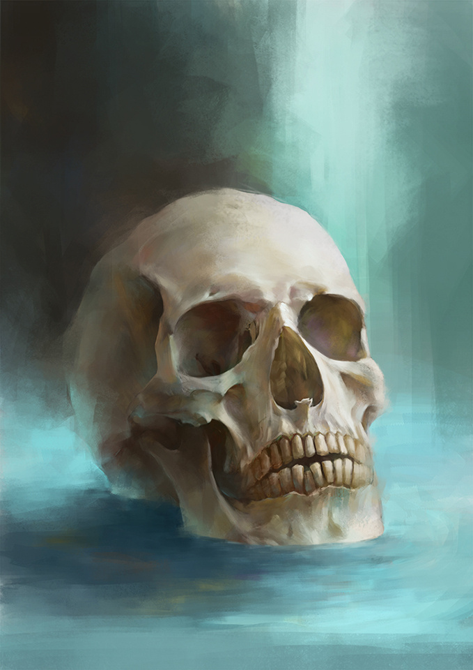 近期两张头骨练习