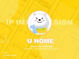 IP设计