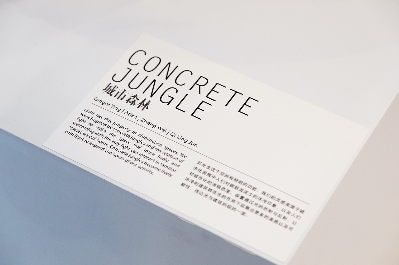 城市森林 CONCRETE JUNGLE--新加坡南洋理工学院交换作品展示